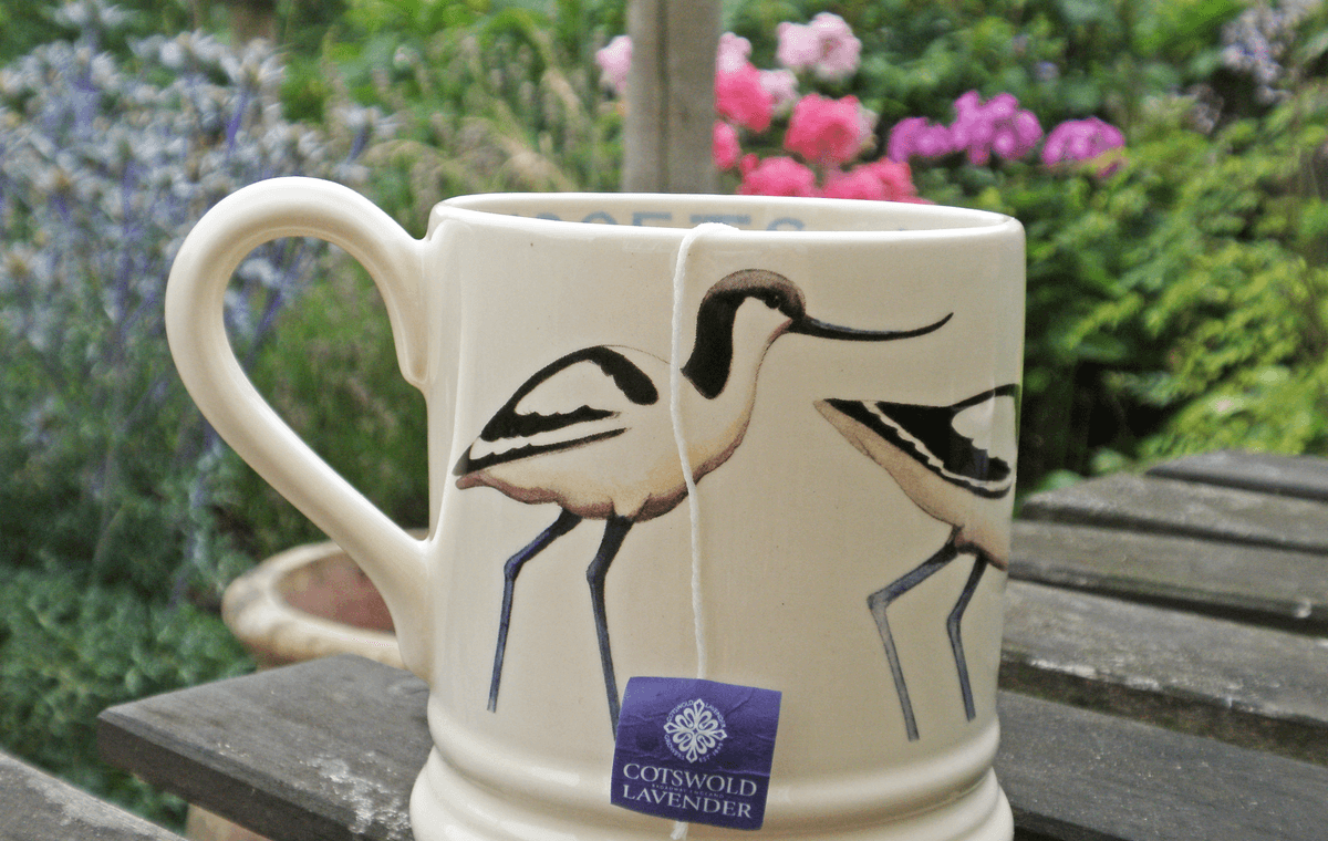 lavender tea bags guide cup of lavender tea